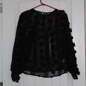 Shein Black See Through, long sleeve Blouse.